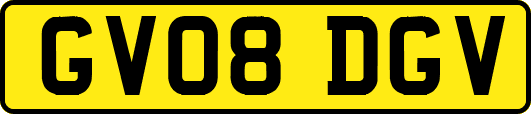 GV08DGV