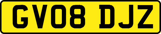 GV08DJZ