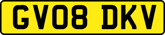 GV08DKV