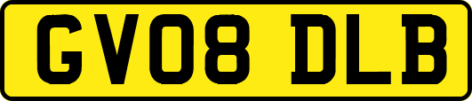 GV08DLB