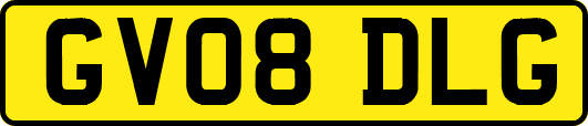 GV08DLG