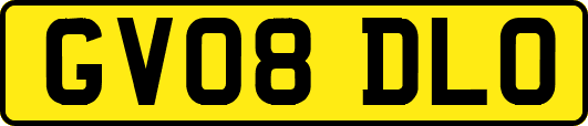 GV08DLO