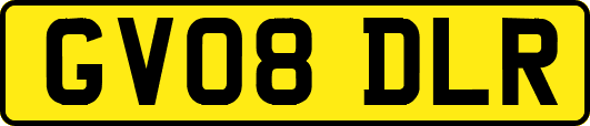GV08DLR
