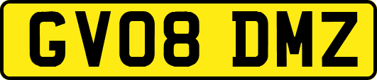 GV08DMZ
