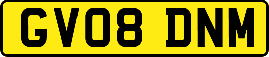 GV08DNM