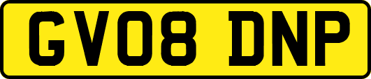 GV08DNP