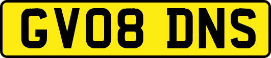 GV08DNS