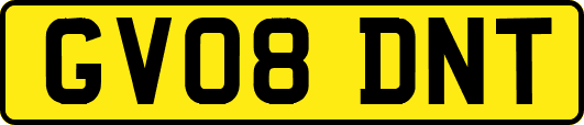 GV08DNT