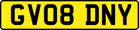 GV08DNY