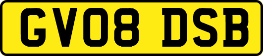 GV08DSB