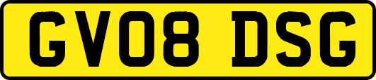 GV08DSG
