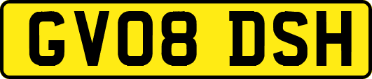 GV08DSH