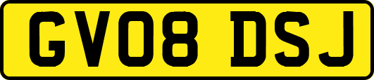 GV08DSJ