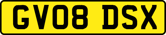 GV08DSX