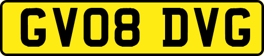 GV08DVG
