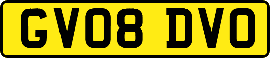GV08DVO