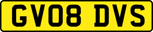 GV08DVS