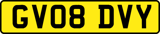 GV08DVY