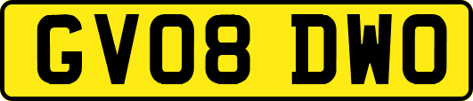 GV08DWO