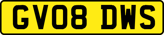 GV08DWS
