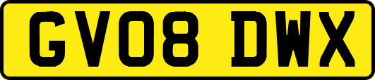GV08DWX