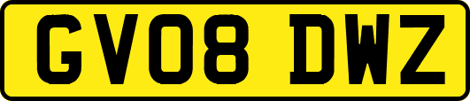 GV08DWZ