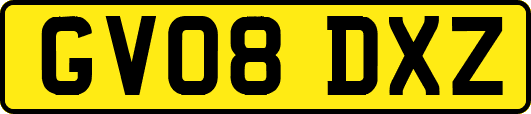 GV08DXZ