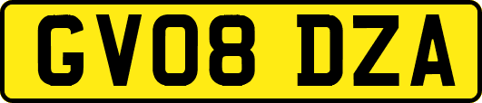 GV08DZA