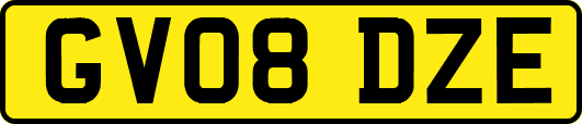 GV08DZE