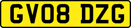 GV08DZG
