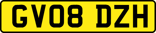 GV08DZH