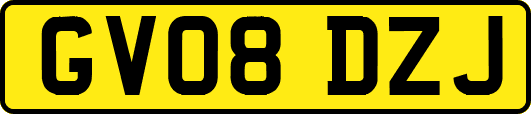 GV08DZJ