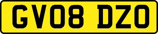 GV08DZO