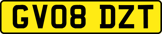 GV08DZT