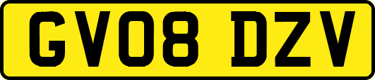 GV08DZV
