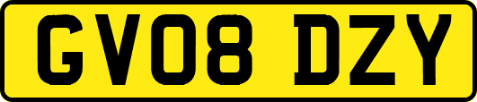 GV08DZY