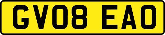 GV08EAO
