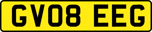 GV08EEG