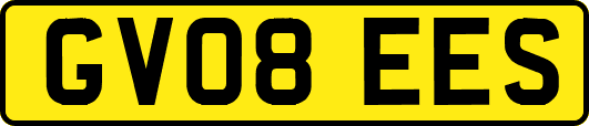 GV08EES
