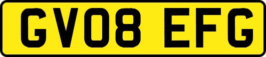 GV08EFG