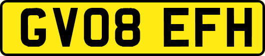 GV08EFH