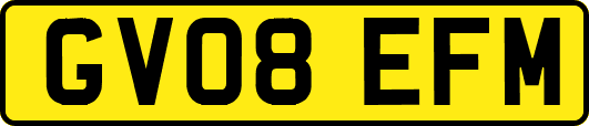 GV08EFM