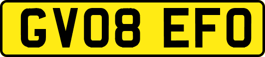 GV08EFO