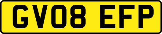 GV08EFP
