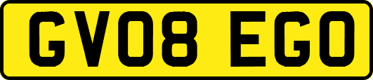 GV08EGO