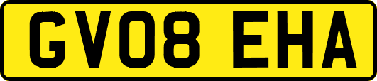 GV08EHA