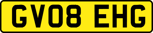 GV08EHG