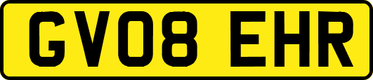 GV08EHR