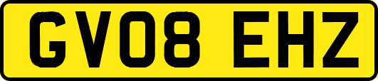 GV08EHZ