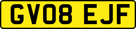 GV08EJF